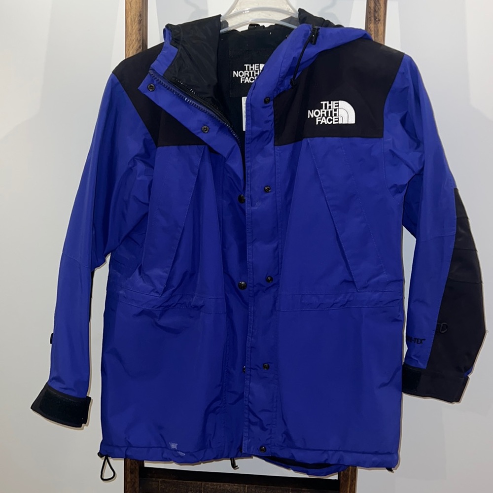 North Face Ski Jacket